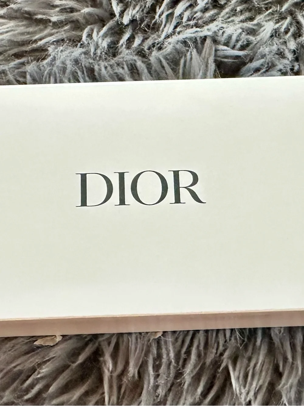 Dior Trousse Pouch Black Mesh with Velvet Trim Brand New in Box